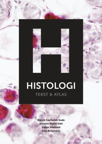 Histologi - picture