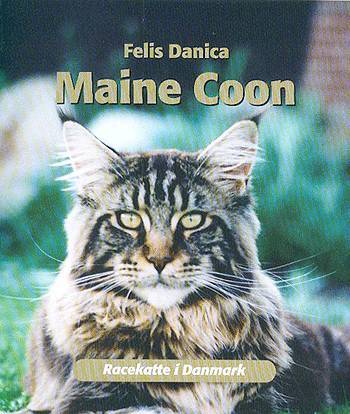 Maine Coon_0