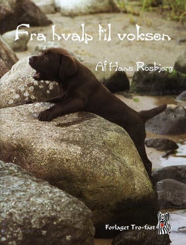 Fra hvalp til voksen