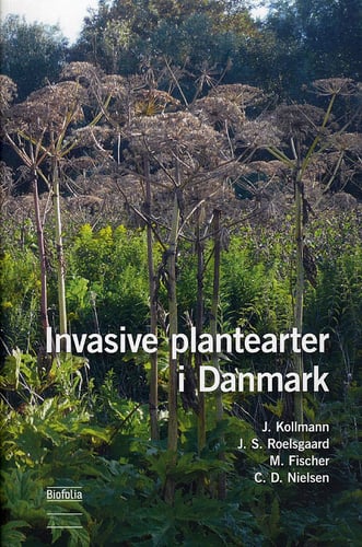 Invasive plantearter i Danmark - picture
