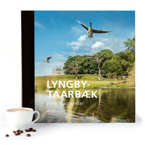 Lyngby-Taarbæk ? Flere fragmenter