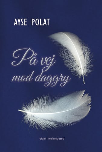 På vej mod daggry