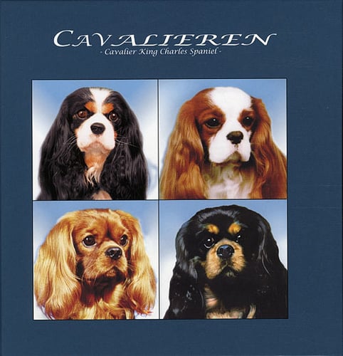 Cavalieren_0