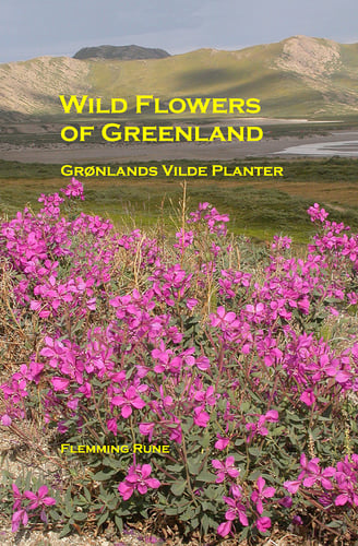 Wild Flowers of Greenland - Grønlands vilde planter_0