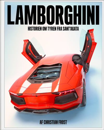 Lamborghini - picture