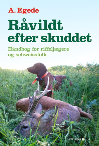 Råvildt efter skuddet_0