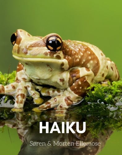 HAIKU - picture