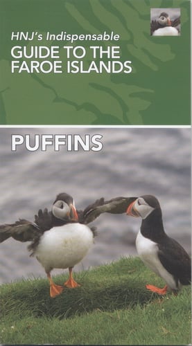 Puffins - picture