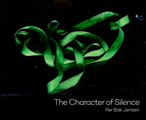 The Character of Silence - picture