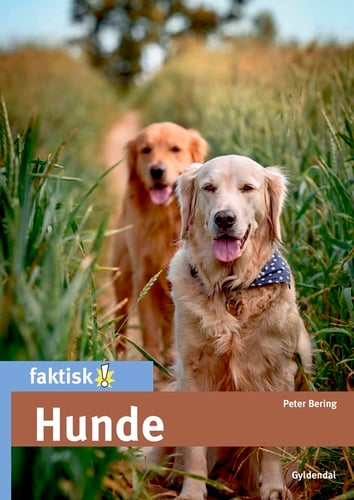 Hunde - picture