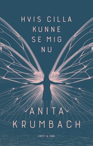 Hvis Cilla kunne se mig nu