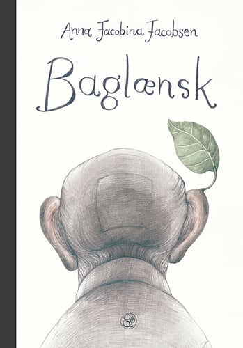 Baglænsk - picture