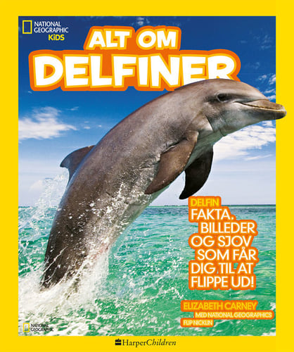 Alt om delfiner - picture