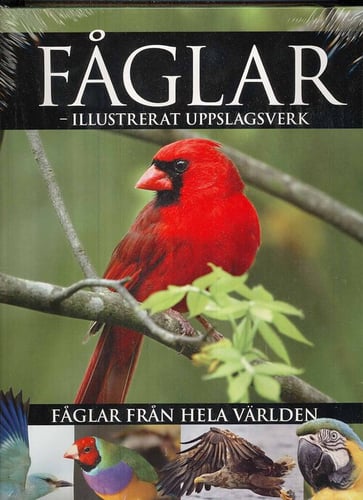 Fåglar - illustrerat uppslagsverk - picture