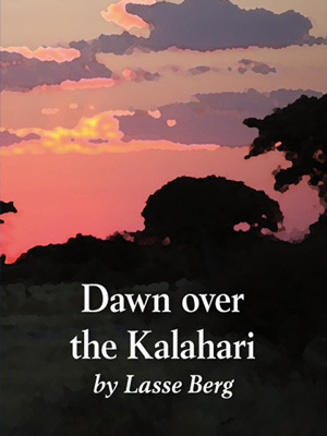 Dawn over the Kalahari : how humans became human - picture
