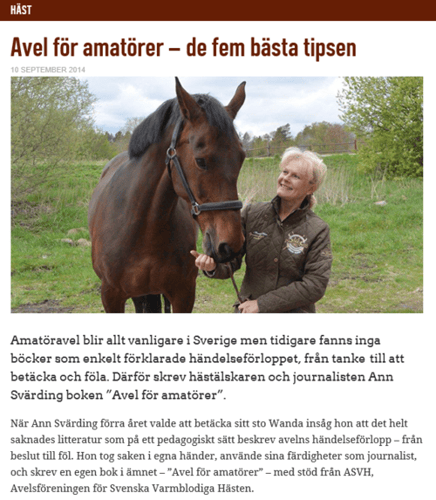 Avel för amatörer_0