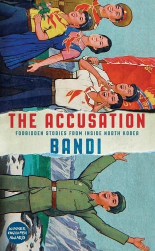 The Accusation - picture