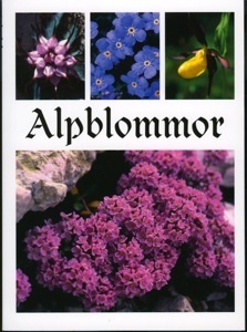 Alpblommor_0