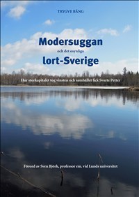 Modersuggan och det osynliga lort-Sverige_0