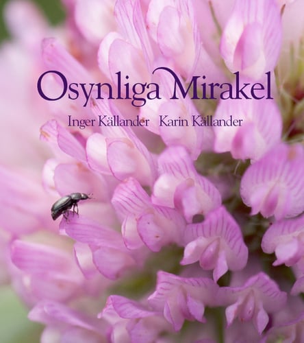 Osynliga mirakel  - picture