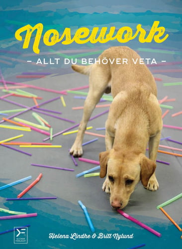 Nosework : allt du behöver veta - picture