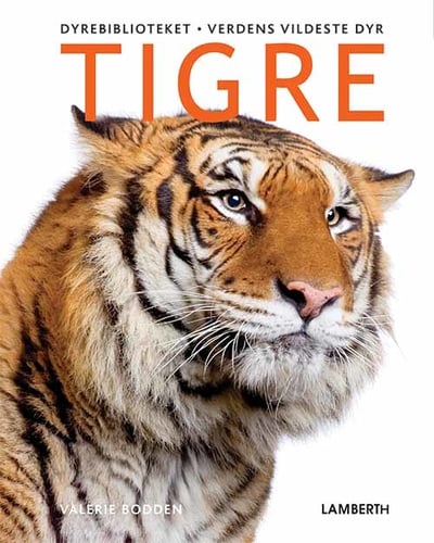 Tigre - picture