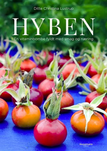 Hyben - picture