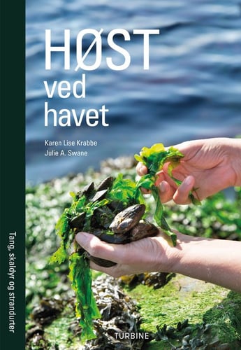 Høst ved havet - picture