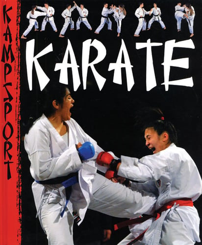 Karate - picture