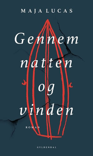 Gennem natten og vinden - picture