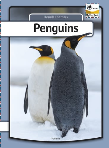 Penguins_0