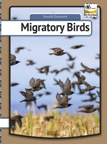 Migratory birds - picture