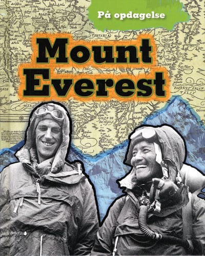 Mount Everest - picture