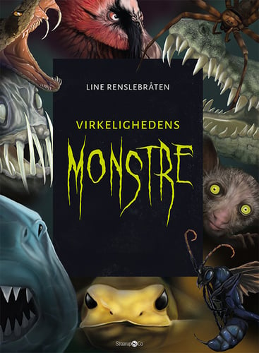 Virkelighedens monstre + monsterkort - picture