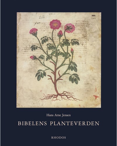 Bibelens planteverden - picture