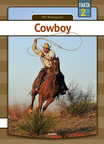 Cowboy - picture
