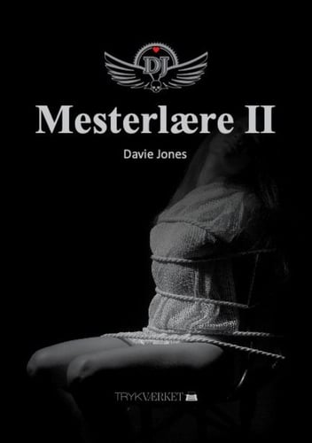 Mesterlære II - picture