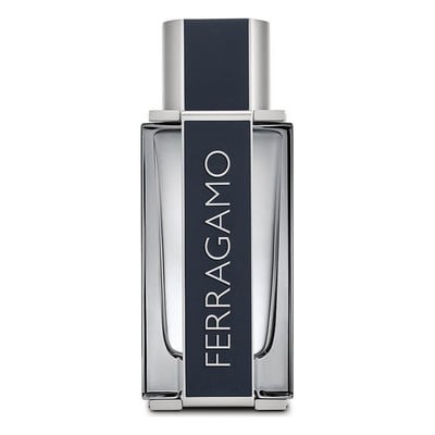 Herre parfyme Ferragamo Salvatore Ferragamo EDT (100 ml)_0