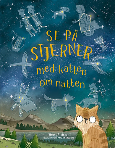 Se på stjerner med katten om natten - picture