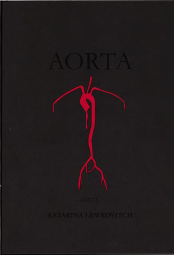 Aorta - picture