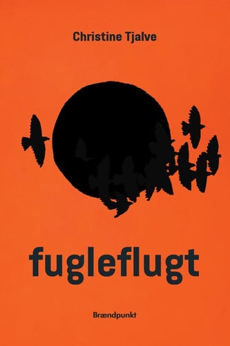 fugleflugt - picture