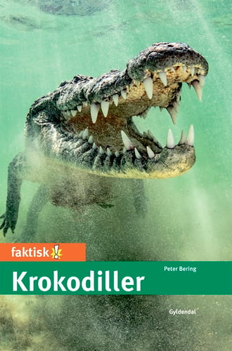 Krokodiller_0