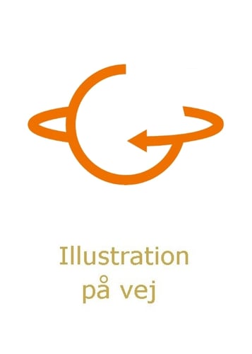 Troldruner 10 - Ekko fra urtiden_0