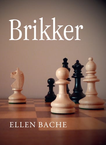 Brikker - picture