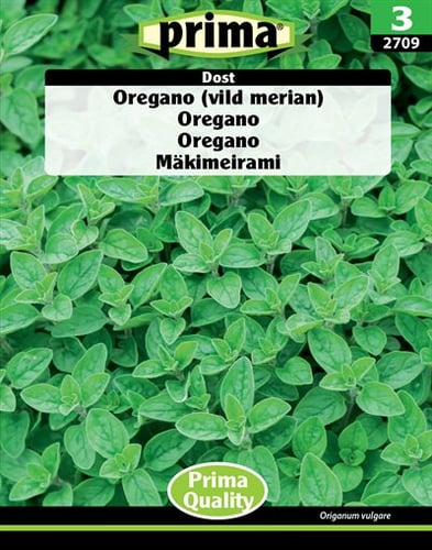 Oregano (vild merian) Dost frø_0