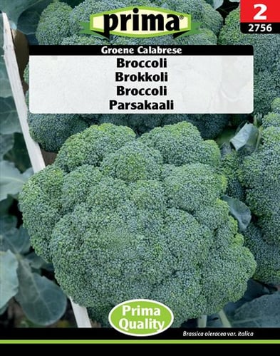 Broccoli Groene Calabrese frø_0