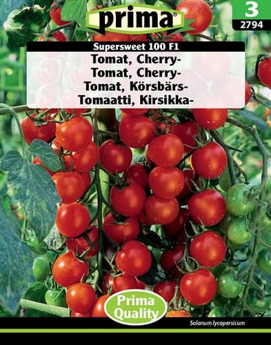 Tomat, Cherry- Supersweet 100 frø_0