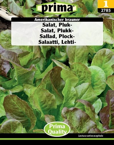 Salat, Pluk- Amerikanischer brauner frø_0