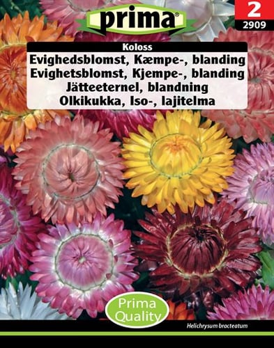 Evighedsblomst, Kæmpe-, blanding Koloss frø_0