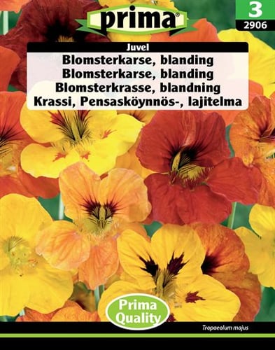 Blomsterkarse, blanding Juvel frø_0